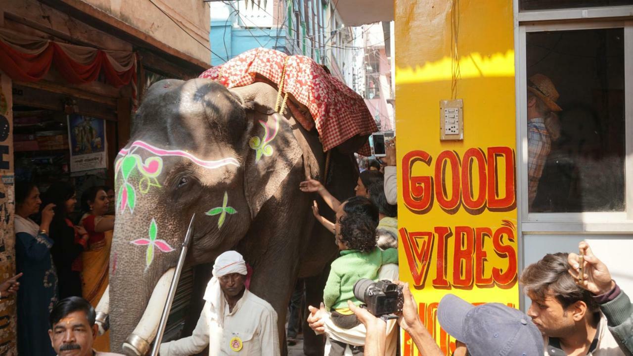 Good Vibes Hostel 바라나시 외부 사진